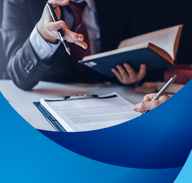 Employment Litigation Image